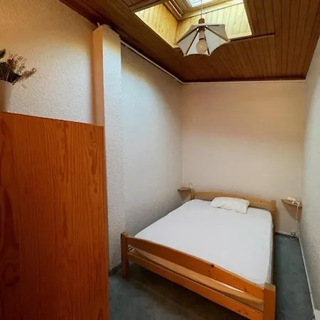 Duplex Spacieux Au Pied Des Pistes, Parking Privatif - Fr-1-516-195 Apartmán Les Deux Alpes
