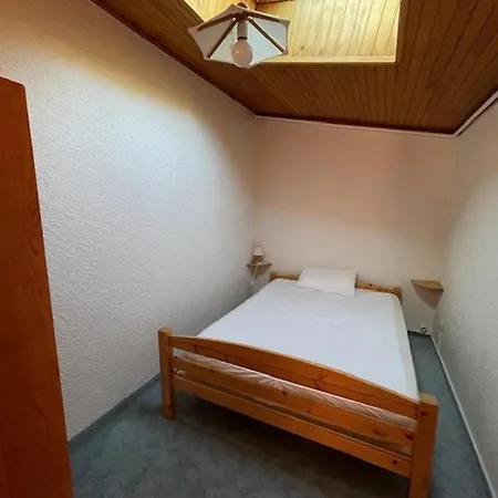 アパート Duplex Spacieux Au Pied Des Pistes, Parking Privatif - Fr-1-516-195 レ・デュー・アルプ